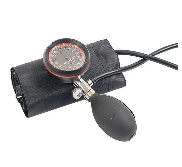 Palm Type Aneroid Sphygmomanometer